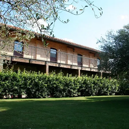 Gli Ulivi